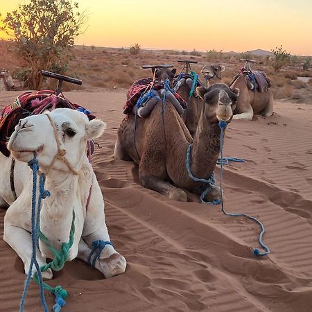 Desert Bivouac Mhamid محاميد الغزلان المظهر الخارجي الصورة