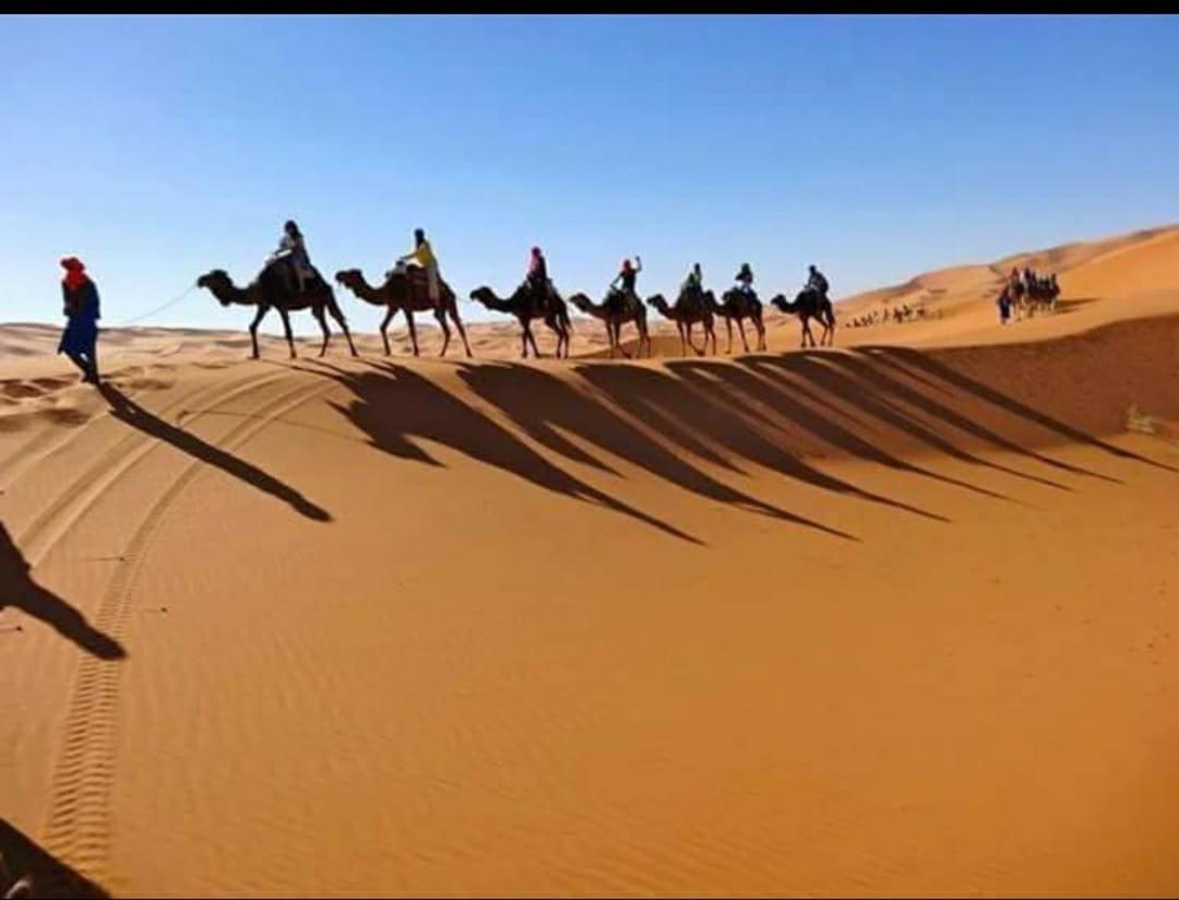 Desert Bivouac Mhamid محاميد الغزلان المظهر الخارجي الصورة