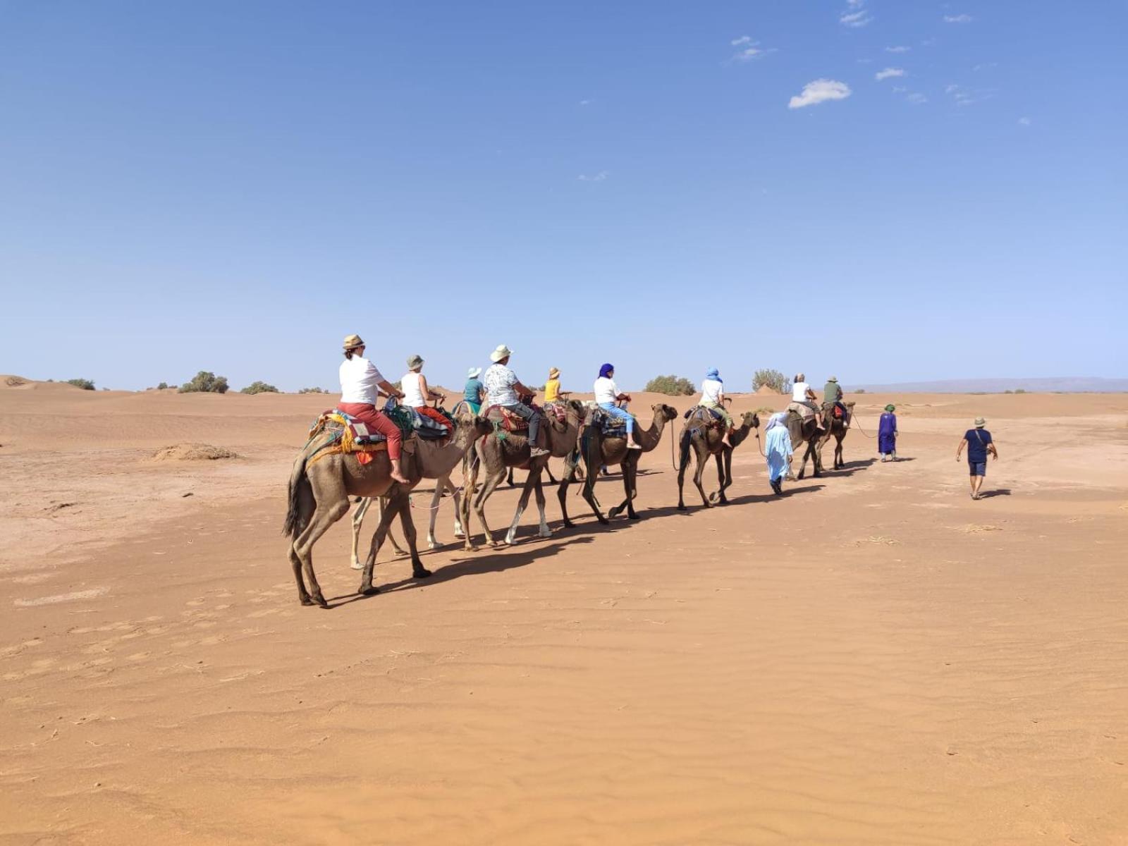 Desert Bivouac Mhamid محاميد الغزلان المظهر الخارجي الصورة