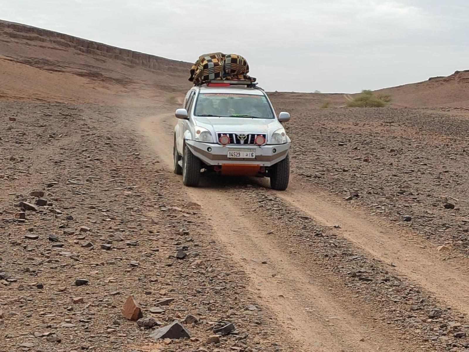 Desert Bivouac Mhamid محاميد الغزلان المظهر الخارجي الصورة